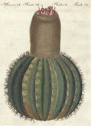 Item nr. 158762 Le Cierge Melon. Bilderbuch Fur Kinder. Friedrich Justin Bertuch