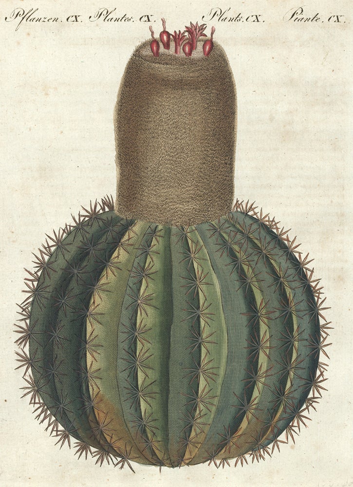 Item nr. 158762 Le Cierge Melon. Bilderbuch Fur Kinder. Friedrich Justin Bertuch.