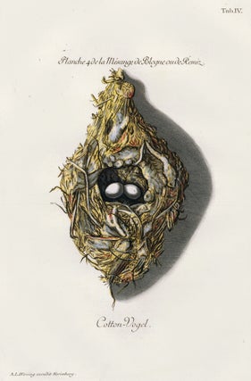 Item nr. 158802 Tab. IV: Cotton-Vogel (Cottonbird). Collection de Nids et d'Oeufs. Adam Ludwig...