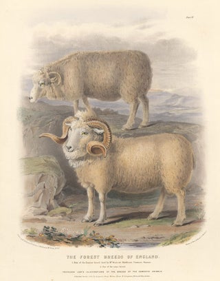 Item nr. 158965 The Forest Breeds of England. The Breeds of the Domestic Animals of the British...