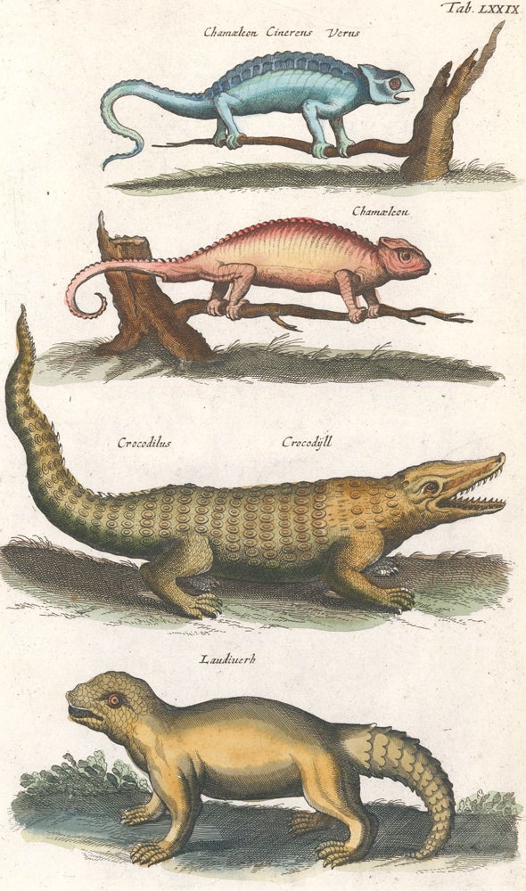 Item nr. 159980 Chamaeleon [Chameleon]; Crocodilus, Crocodyll [Crocodile]; Laudiuerba [extinct or mythical]. Historia Naturalis, De Quadrupedibus. Johann Jonston.