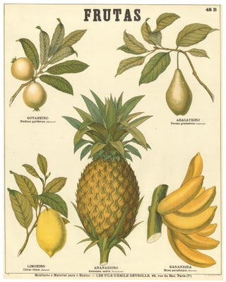 Item nr. 159981 Frutas: Goyabeiro, Abacateiro, Limoeiro, Ananazeiro, Bananeira. Les Fils d'Emile...