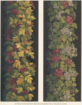 Item nr. 160698 Hawthorn Flower and Fruit. Specimens of Ornamental Art. Lewis Gruner