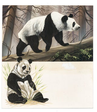 Item nr. 161049 Pandas. Unknown