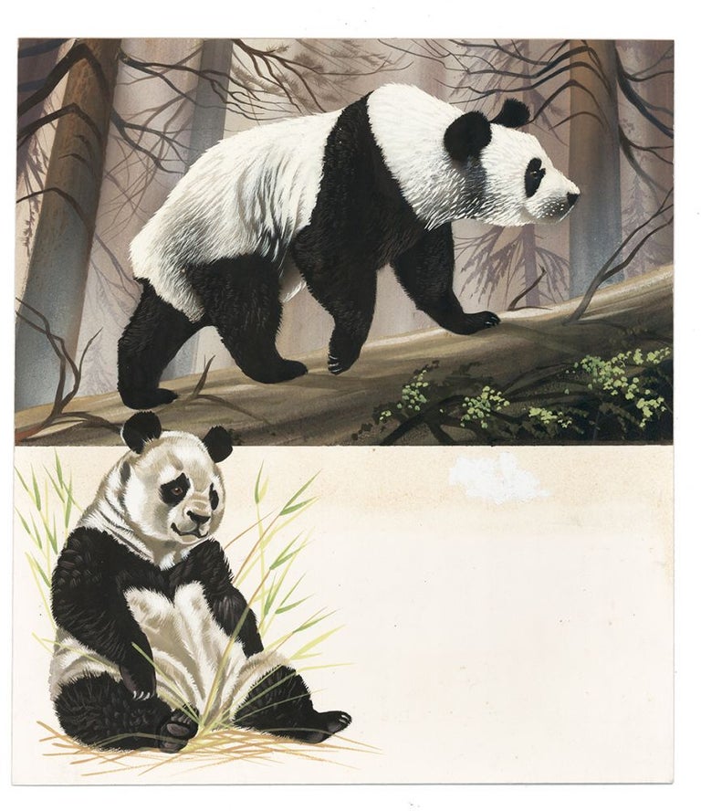 Item nr. 161049 Pandas. Unknown.