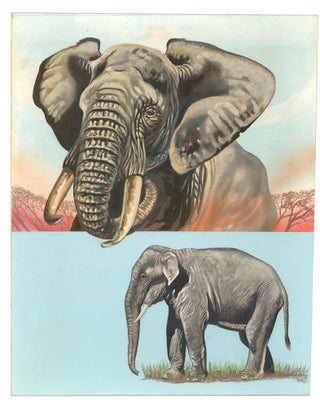 Item nr. 161050 Elephants. Unknown