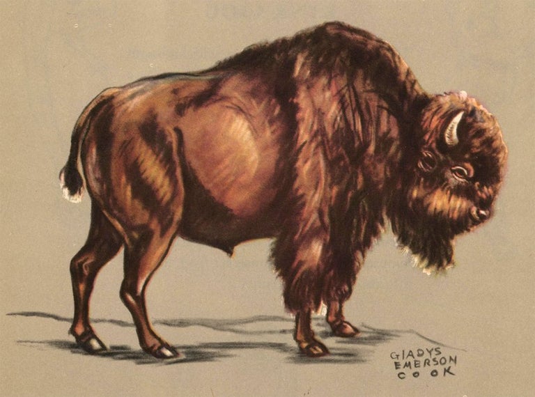 Item nr. 161167 Bison. Zoo Animals. Gladys Emerson Cook.
