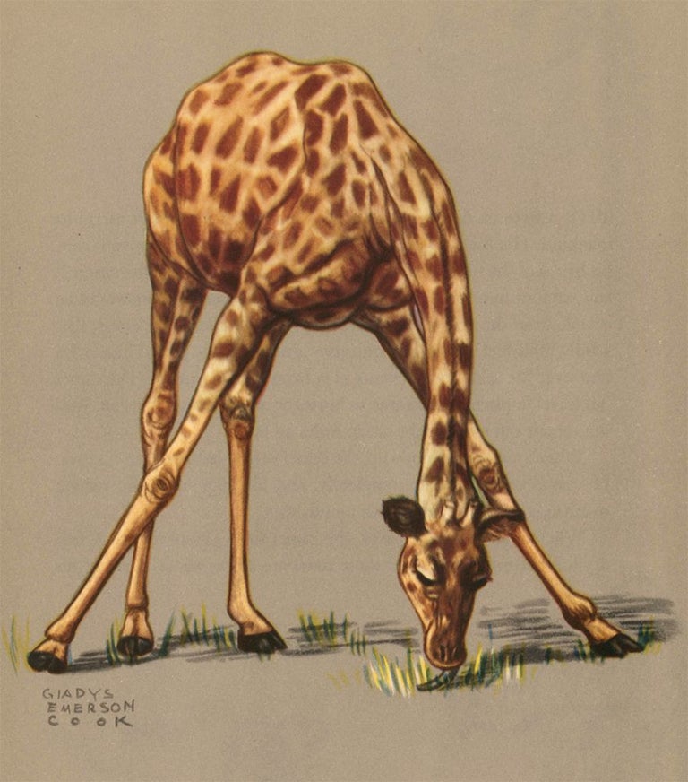 Item nr. 161171 Giraffe. Zoo Animals. Gladys Emerson Cook.