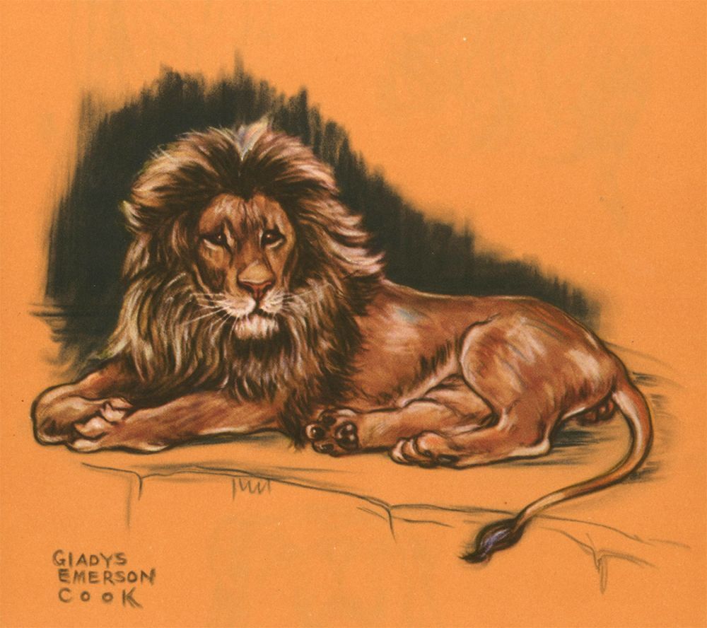 Lion. Zoo Animals | Gladys Emerson Cook