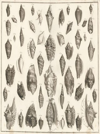 Item nr. 161451 Tom. 3. Tab. LXII. Locupletissimi rerum naturalium thesauri accurata descriptio,...