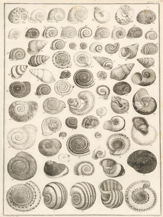 Item nr. 161459 Tom. 3. Tab. XL. Locupletissimi rerum naturalium thesauri accurata descriptio, et...