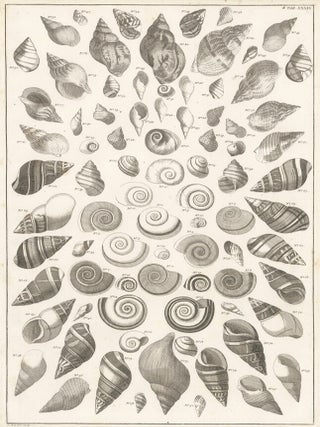 Item nr. 161462 Tom. 3. Tab. XXXIX. Locupletissimi rerum naturalium thesauri accurata descriptio,...