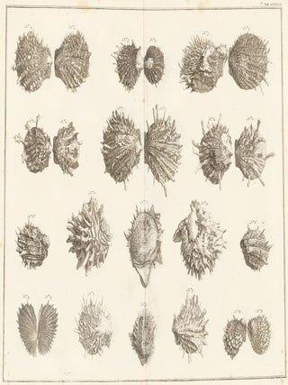 Item nr. 161466 Tom. 3. Tab. LXXXVIII. Locupletissimi rerum naturalium thesauri accurata...
