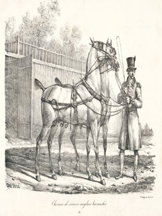Item nr. 161601 Chevaux de Carosse Anglais Harnaches. Carle Vernet
