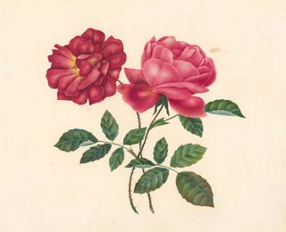 Item nr. 161623 Roses. French School