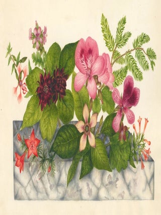 Item nr. 161629 Maroon, purple, pink, and orange floral arrangement. English School