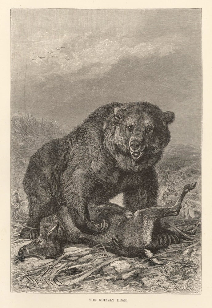 Item nr. 161709 The Grizzly Bear. The Royal Natural History. Richard Lydekker.