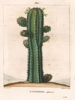 Item nr. 161810 Euphorbe Officianal. Flore Medicale. F. P Chaumeton, Pierre Jean Francois Turpin