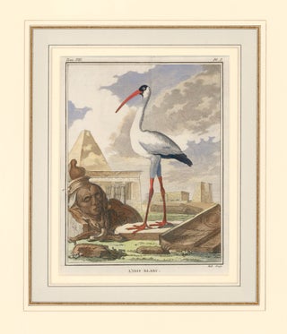 Item nr. 161833 L'Ibis Blanc. Histoire Naturelle des Oiseaux. Georges Louis Buffon