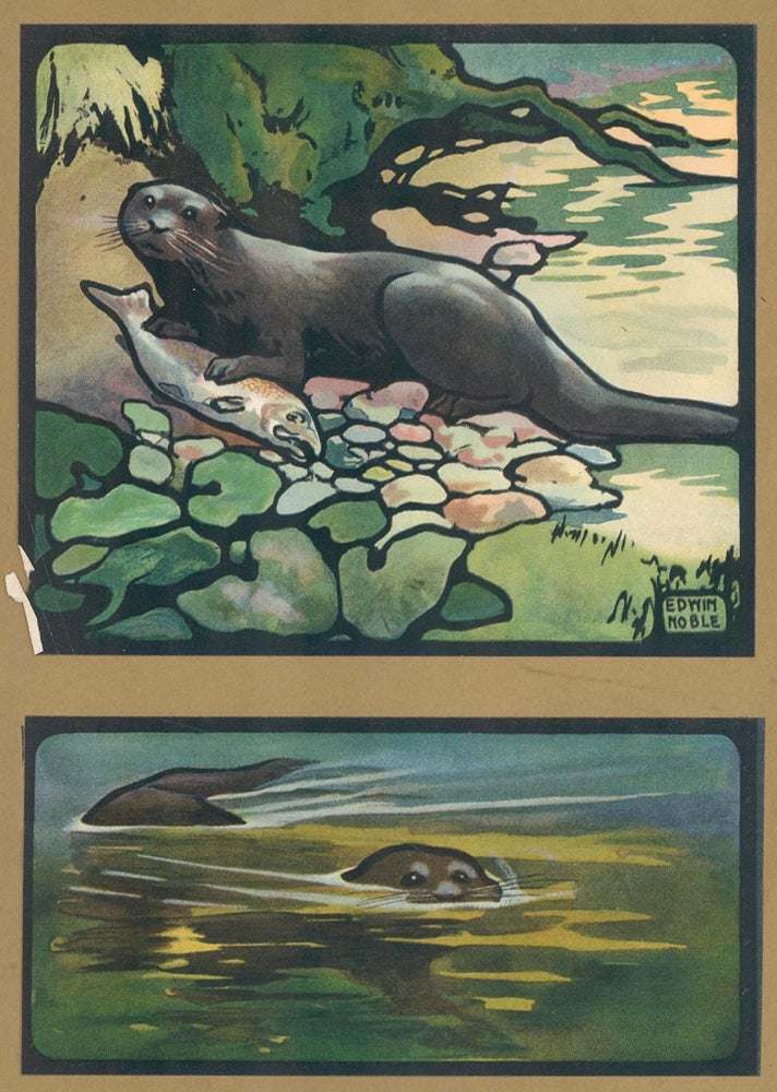 Item nr. 161854 Otter. The Animal Why Book. Edwin Noble.