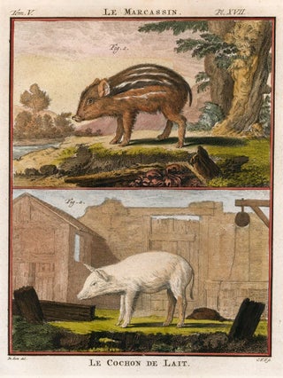 Item nr. 162155 Le Cochon de Lait. Histoire Naturelle. George-Louis Leclere Buffon