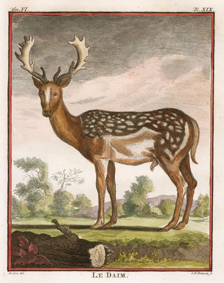 Item nr. 162157 Le Daim. Histoire Naturelle. George-Louis Leclere Buffon.