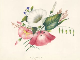 Item nr. 162279 Group of Wildflowers. English School