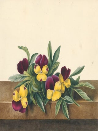 Item nr. 162290 Pansies. English School