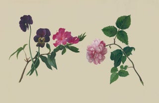Item nr. 162292 A Flower Study: Pansies, Azalea, Rose. Adolphe Jean-Jacques Reques