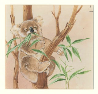 Koala Tryptic.