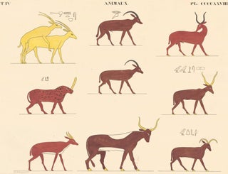 Item nr. 162534 Animaux, Copies d'apres les Peintures Originales. Monuments de l'Égypte et de la...