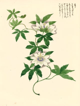 Item nr. 162772 Passion Flower. Japanese School