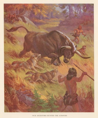 Item nr. 162934 Our Ancestors Hunted the Aurochs. Homes and Habitats of Wild Animals. Walter...