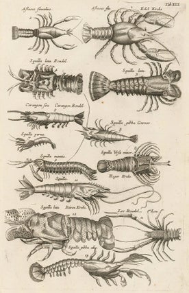 Item nr. 163002 Astacus Flualius [Crayfish], Squilla Lata Rondle [Large Shrimp], Carangon Seu... ...