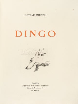 Dingo.