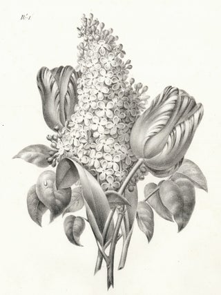 Item nr. 163134 Lilas et Tulipe. Hussard