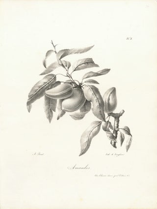Amandes.