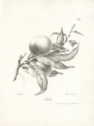 Pêches.