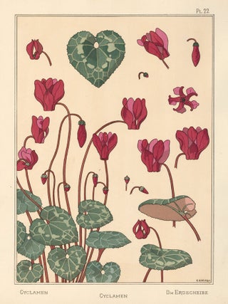 Item nr. 163295 Cyclamen. La Plante et ses applications ornementale. Maurice Pillard Verneuil,...