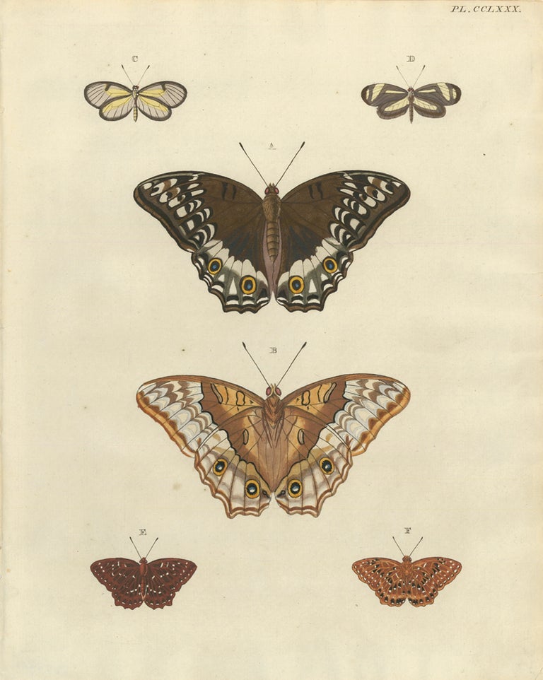 Item nr. 163390 Plate CCLXXX. Papillons Exotiques des Trois Parties du Monde l'Asie, l'Afrique et l'Amerique. Pieter Cramer, C. Stoll.