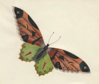 Item nr. 163729 Decorative butterfly. Butterflies and Insects. Sara Anne Moore