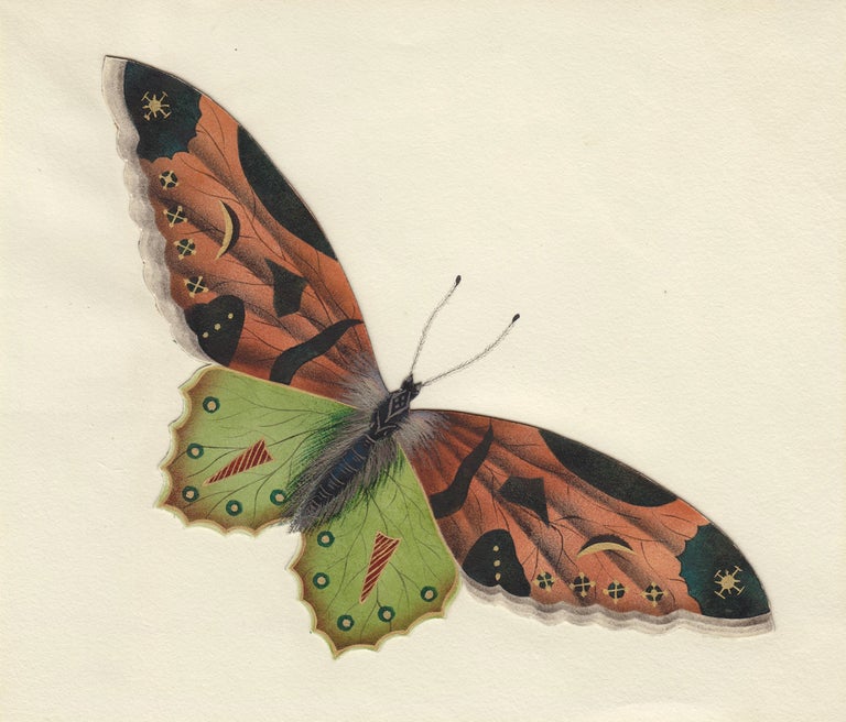 Item nr. 163729 Decorative butterfly. Butterflies and Insects. Sara Anne Moore.
