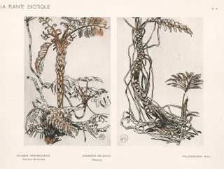Item nr. 163762 Tree Fern, Monstera Deliciosa, Philodendron. La Plante Exotique. Mathurin Meheut