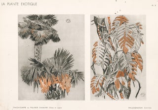 Item nr. 163763 Hemp Palm & Philodendron. La Plante Exotique. Mathurin Meheut