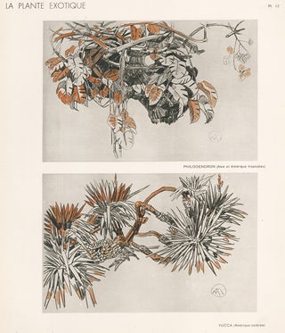 Item nr. 163764 Philodendron & Yucca. La Plante Exotique. Mathurin Meheut
