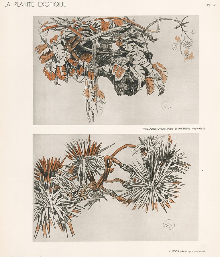 Item nr. 163764 Philodendron & Yucca. La Plante Exotique. Mathurin Meheut.