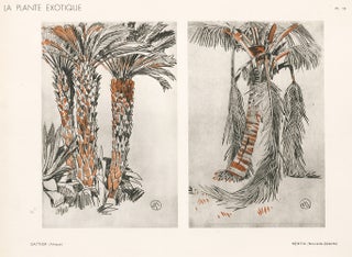 Item nr. 163767 Date Palm & Kentia Palm. La Plante Exotique. Mathurin Meheut