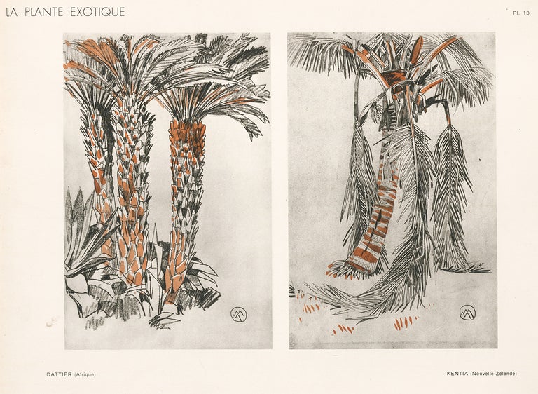 Item nr. 163767 Date Palm & Kentia Palm. La Plante Exotique. Mathurin Meheut.