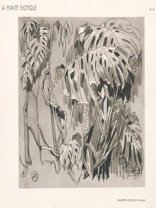 Item nr. 163768 Monstera Deliciosa. La Plante Exotique. Mathurin Meheut