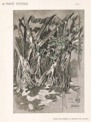 Item nr. 163769 Figuier des Pagodes. La Plante Exotique. Mathurin Meheut